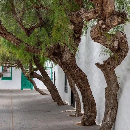 Lägenhet Tranquilo En La De Lanzarote